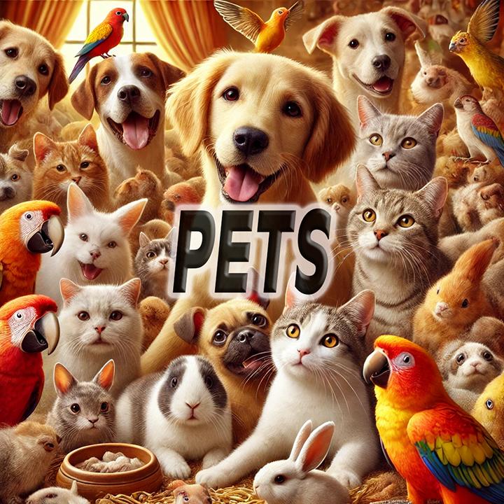 Pets Collection